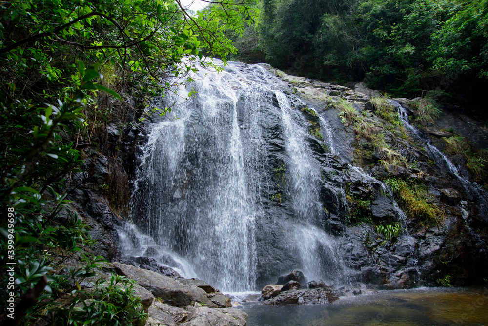 Forest bath