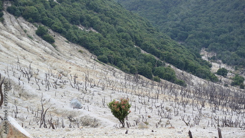 papandayan mountain photo