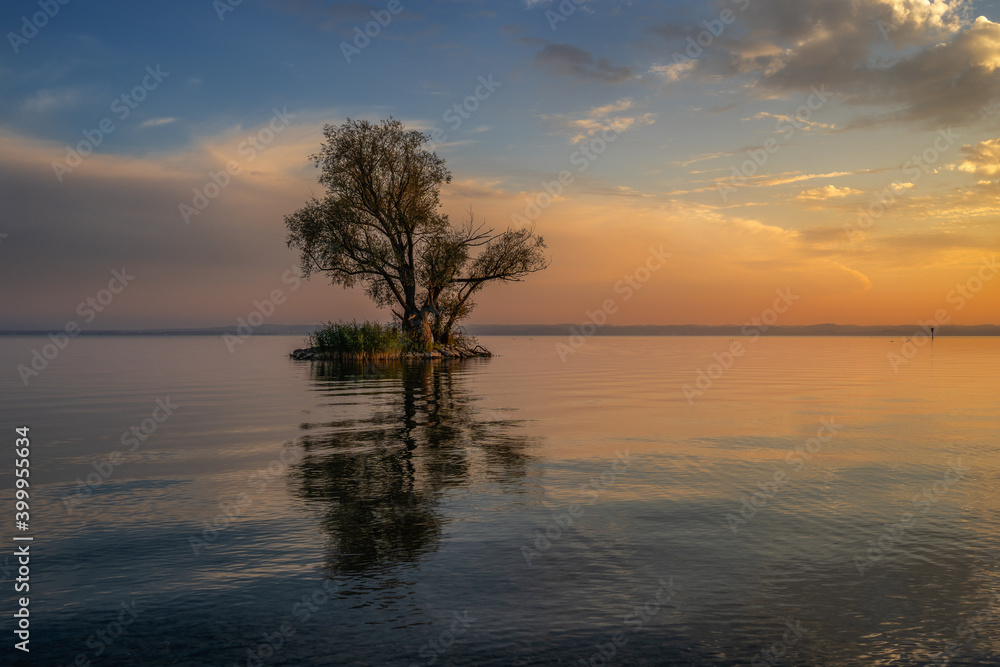 South Sea Feeling - Südsee Gefühle South Sea Feeling - Südsee Gefühle