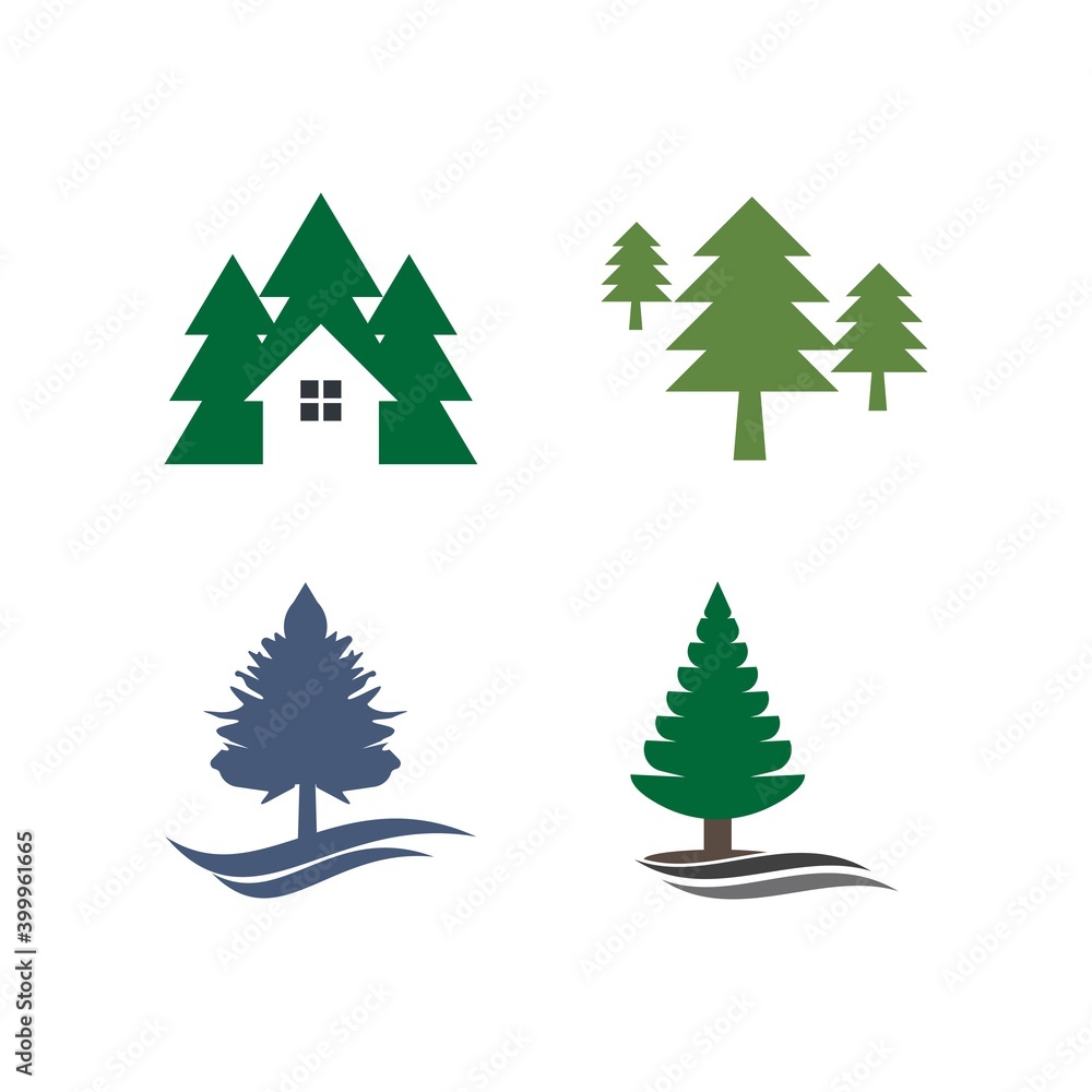 Obraz premium pine tree christmas