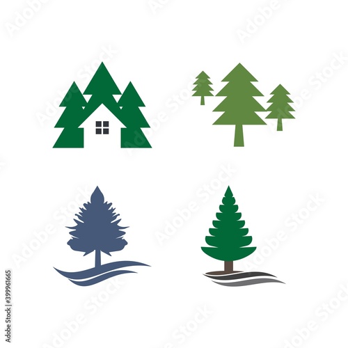 pine tree christmas
