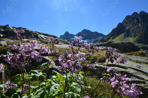 Alpenimpression - Österreich