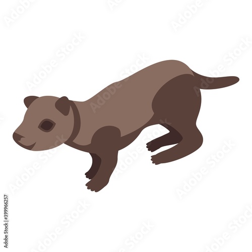 Mink icon. Isometric of mink vector icon for web design isolated on white background