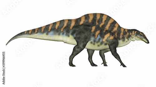 Ouranosaurus dinosaur walking isolated in white background - 3D render