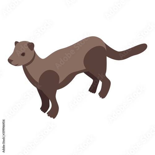 Ocean mink icon. Isometric of ocean mink vector icon for web design isolated on white background
