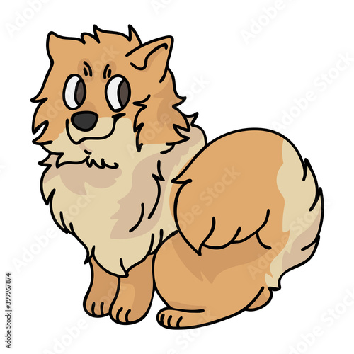 Cute cartoon Pomeranian puppy vector clipart. Pedigree kennel doggie breed for kennel club. Purebred domestic puppy training for pet parlor illustration mascot. Isolated canine breed.