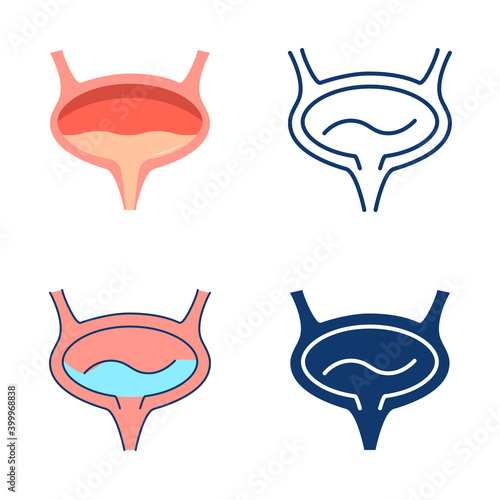 Bladder icon set in flat and line style