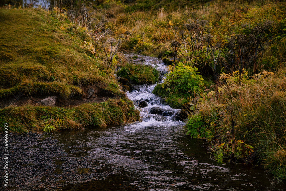 Fototapeta premium waterfall in the forest