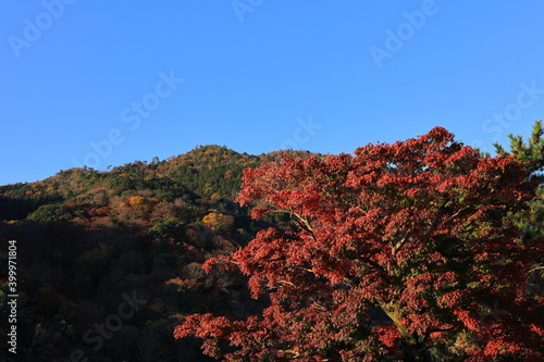 嵐山公園 京都 日本