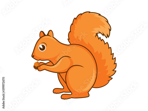 Cute red squirrel with acorn icon vector. Squirrel icon isolated on a white background. Adorable red squirrel vector