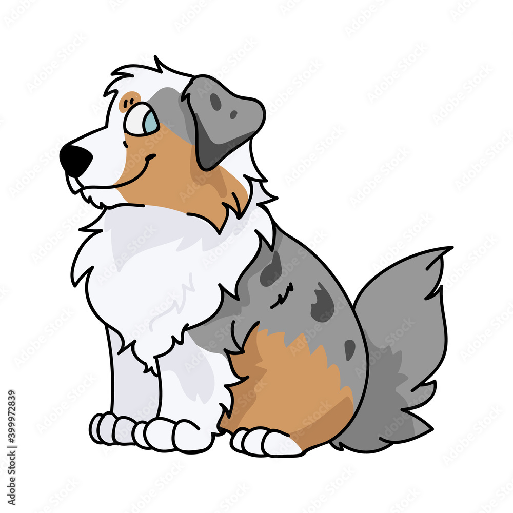 Australian shepherd kennel club cheap