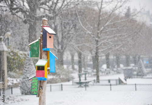 Multicolored birdhouses on a tree. Cold winter with snowstorm.