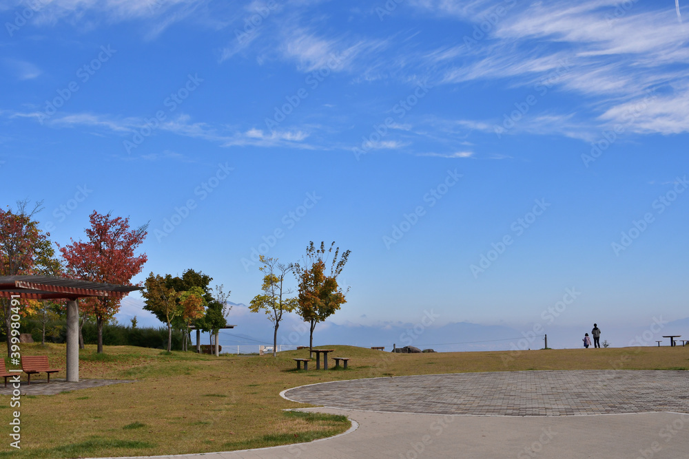 Obraz premium 青い空の下でピクニック気分