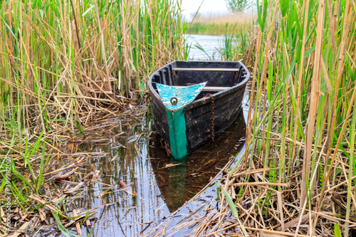 Fototapeta Naklejka Na Ścianę i Meble -  Old wooden boat in the reed on the riverbank