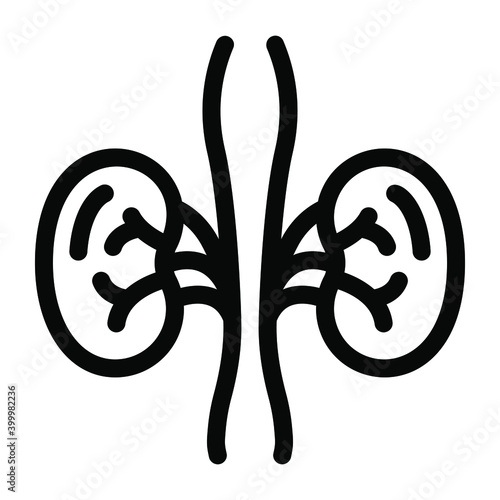
Kidneys icon in solid editable style
