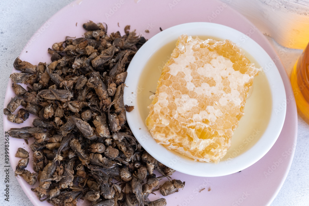Tuberculosis. folk remedy for treatment of tuberculosis a mole cricket mixed with honey. Tuberculosis. folk remedy for treatment of tuberculosis a mole cricket mixed with honey.