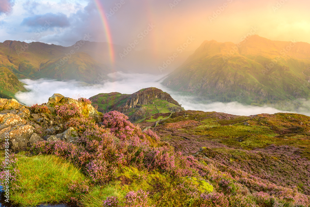 Breathtaking sunrise with rainbow over cloud inversion valley. Heather filled landscape taken in the Lake District, UK.
