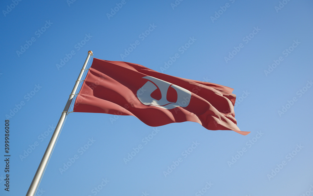 Aichi Japan prefecture low angle flag