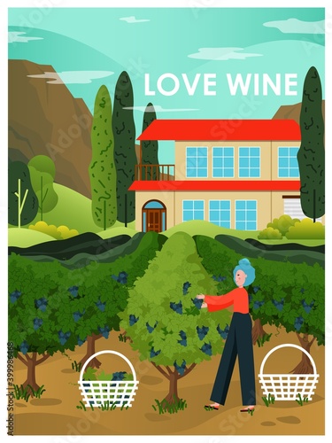 Woman picking grape at vineyard next to farm house. Wine farm landscape and vineyard concept vector illustration. Harvest season in italian winery