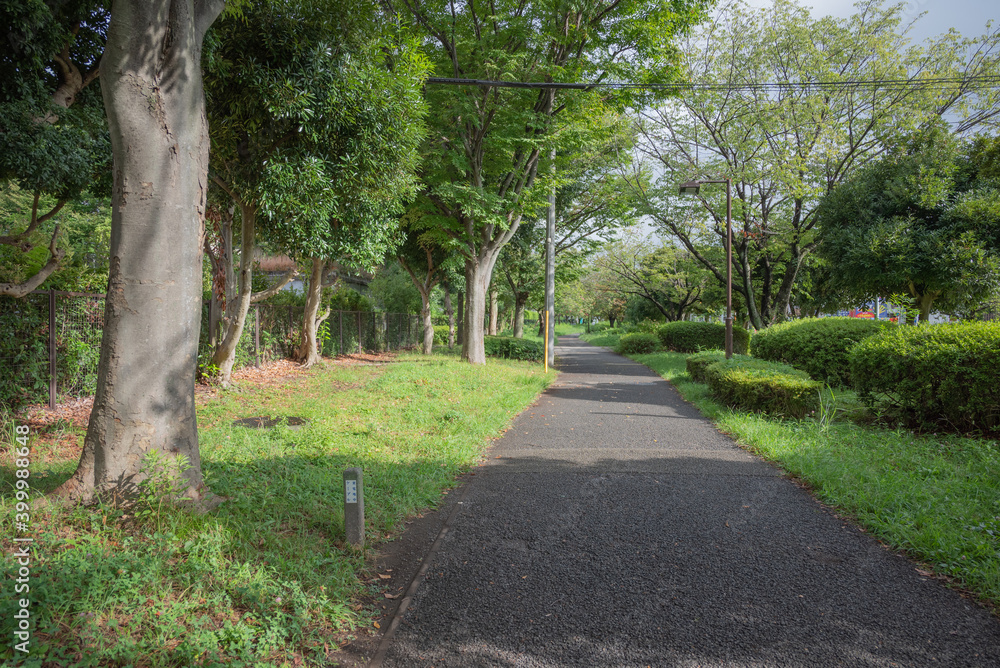 散歩の道 散歩の道