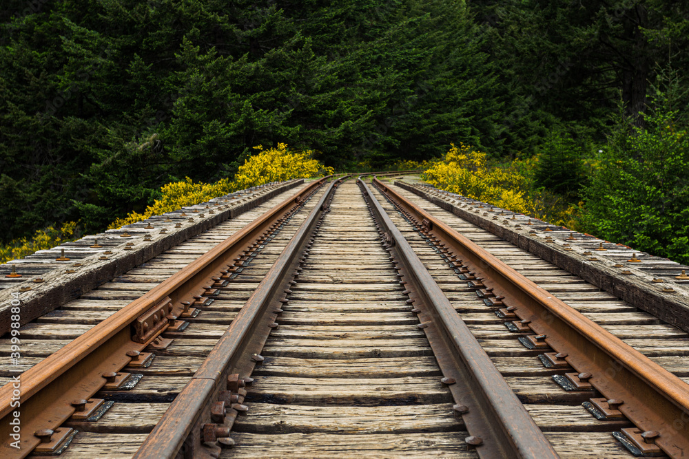 Goldstream trestle, Vancouver Island, Canada