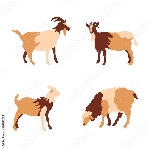 Goats, baby goat and sheep. Farm animals. Vector illustration.