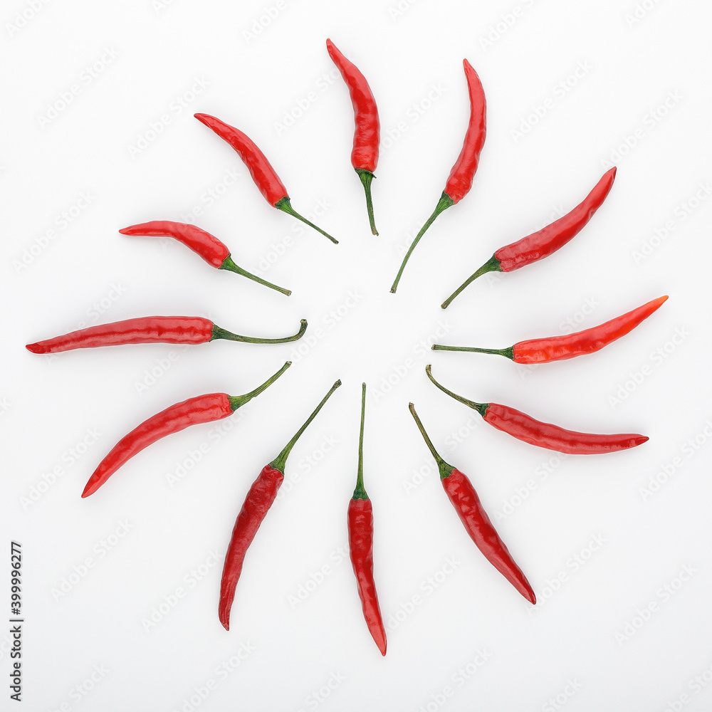 circle of twelve chili peppers on gray background in flat style circle of twelve chili peppers on gray background in flat style
