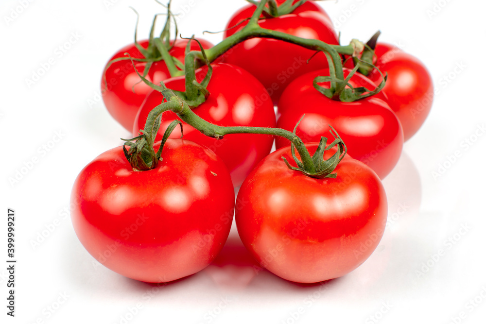 branch of bright red tomato on a white background branch of bright red tomato on a white background