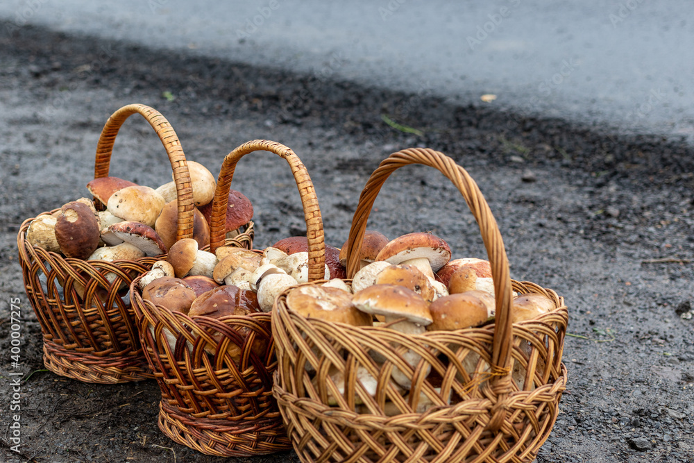 Paved country road in the mountains and three baskets of large porcini mushrooms for sale. Magnificent large forest mushrooms on the side of the road. Paved country road in the mountains and three baskets of large porcini mushrooms for sale. Magnificent large forest mushrooms on the side of the road.