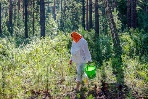 A woman in a white suit picks mushrooms in a sunny forest