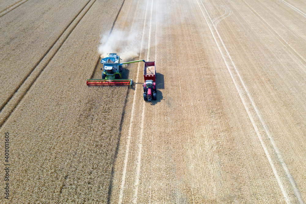 A combine harvester and a tractor harvesting the wheat on a field, Jutland, Denmark