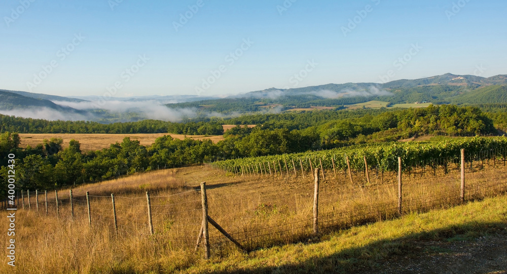 Morning mist rising over the late summer landscape near Murlo, Siena Province, Tuscany, Italy
