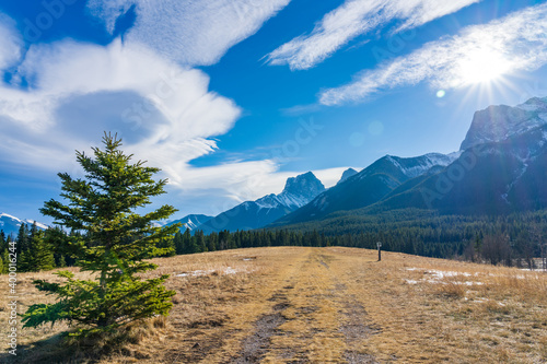 A isolated pine tree on unmelted snow grassland with beautiful cloudscape in late autumn sunny day. Forest and snow capped mountains in the background. Natural scenery in Canmore, Alberta, Canada.