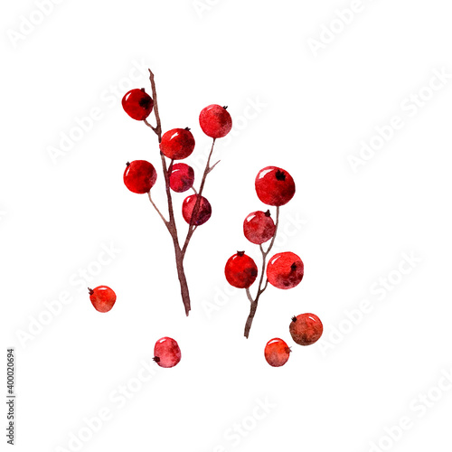 Watercolor hand painted Christamas set of holiday elements - winter red berries branch . Illustration isolated on white background. Design for logo, textile, print, holiday decor, Christmas decoration