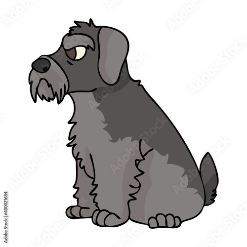 Cute cartoon Schnauzer puppy vector clipart. Pedigree kennel doggie breed for kennel club. Purebred domestic dog training for pet parlor illustration mascot. Isolated canine breed. 