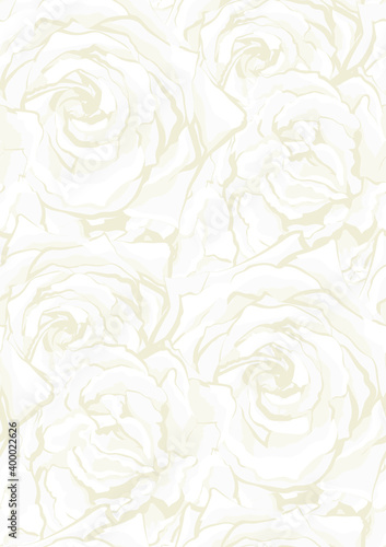 Vintage white roses blooming. Seamless pattern