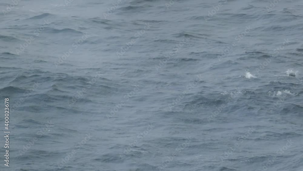 Penguins jumping out of the water in 4k. Penguins jumping out of the water in 4k.