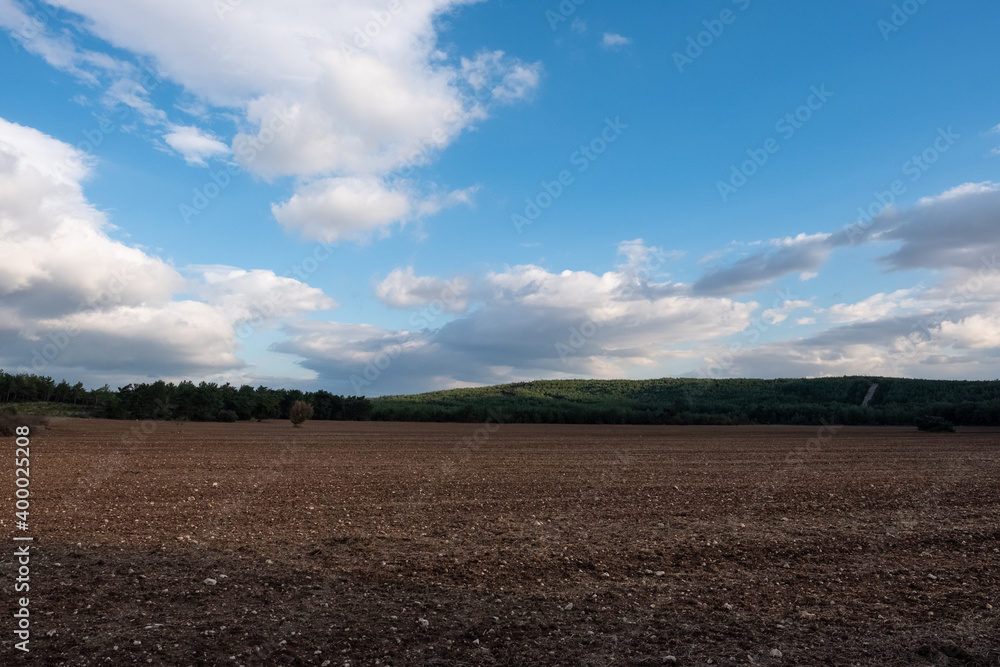 Empty Agricultural Field by the Forest Under Cloudy Sky