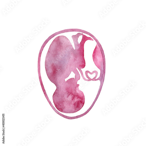 Foto Baby in womb