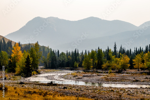 Fall colours starting to turn. Fitzsimmons Creek Provincial Recreation Area, Alberta, Canada