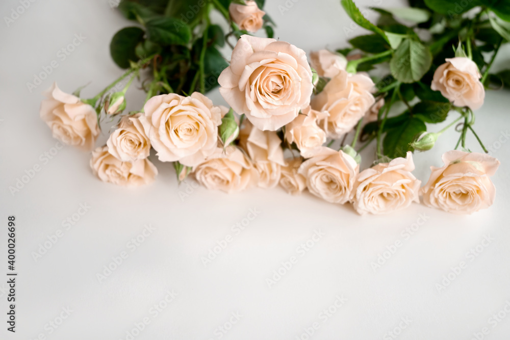 Bouquet of pale yellow roses scattered on light background. Bouquet of pale yellow roses scattered on light background.