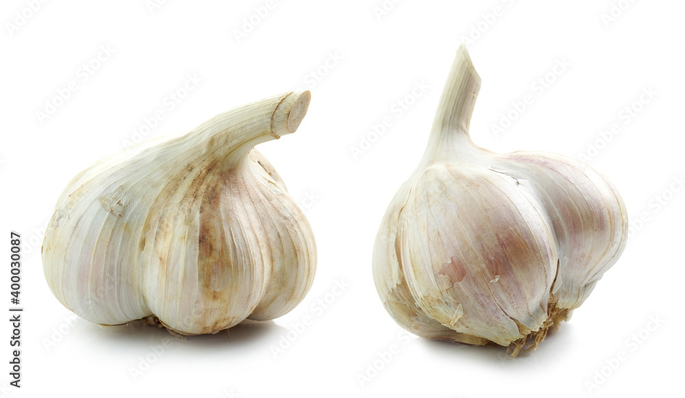 Fototapeta premium natural organic garlic