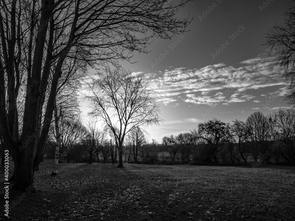 Naklejka premium A CHRISTMAS WALK AT NIGHT