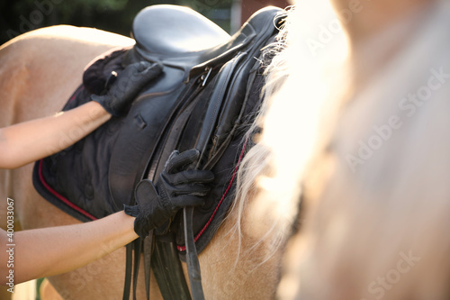 Young woman putting saddle on horse outdoors, closeup. Beautiful pet
