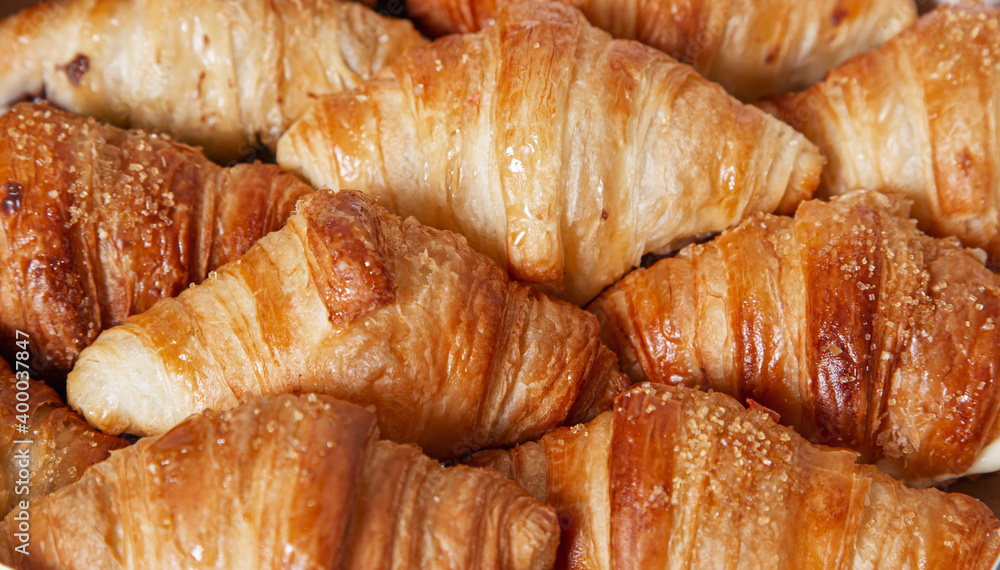 Mini Croissants filled with chocolate. isolated image