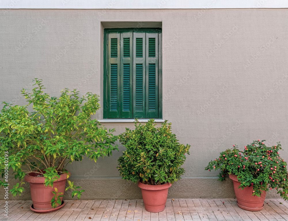 green shutters window on house facade and potted plants by the sidewalk