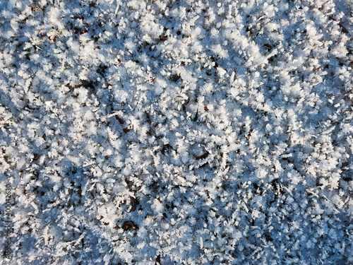 A view of dry grass covered with crystals of frost on a frosty sunny day.