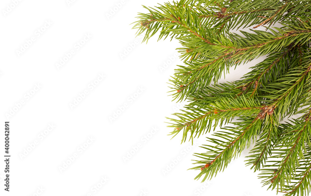 Christmas tree branche