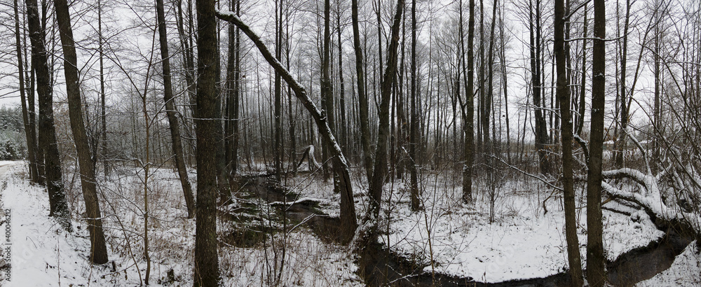 Panorama of stream running through snow covered forest. Nature, jacket. Depressed mood concept. Panorama of stream running through snow covered forest. Nature, jacket. Depressed mood concept.