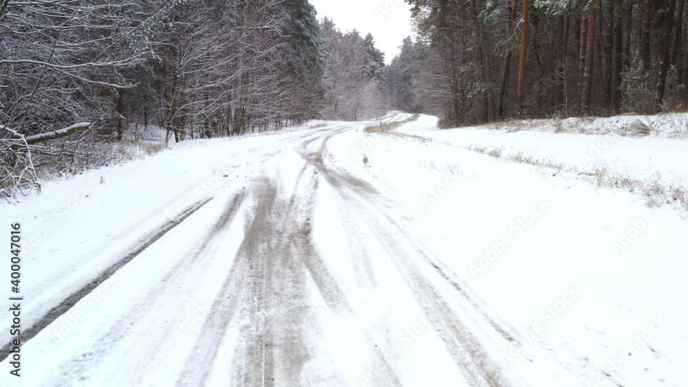 POV shot of a snowy forest road during snowy weather in a pine forest on a winter day. Low Flight over a winter road with car tracks in a snowy forest on a frosty day. POV shot of a snowy forest road during snowy weather in a pine forest on a winter day. Low Flight over a winter road with car tracks in a snowy forest on a frosty day.